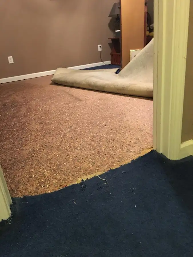Carpet pad removal revealing water damage during Drying & Dehumidification in Southborough